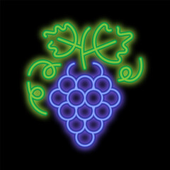 Neon glowing juicy bunch of grapes with leaves and tendrils. Fruit diet and healthy eating. Glowing neon icon isolated on black background
