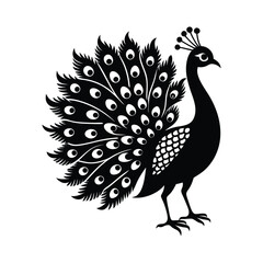Peacock Silhouette Vector Illustration 
