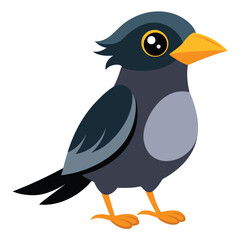 Illustration of Brahminy Myna Isolated 