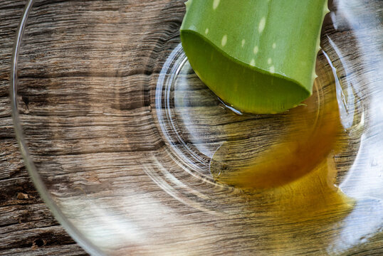 Aloe vera yellow latex are anthraquinone group substances such as aloin, barbaloin (aloe-emodin), chrysophanic acid on natural background.