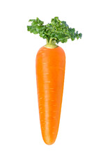carrot isolated on white