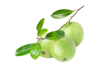 Green apple isolated on white