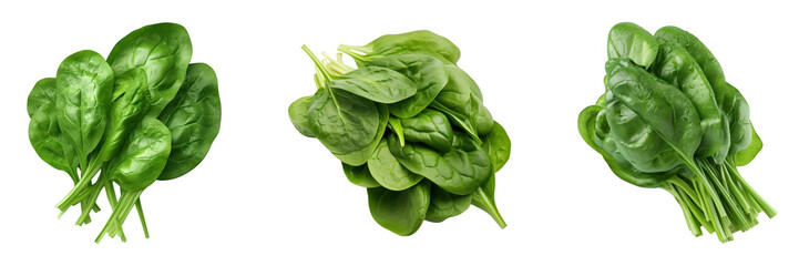 Obraz premium Organic Fresh Green Color Spinach Leaves Set. Isolated on Background