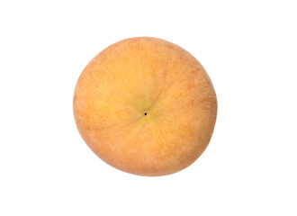 santol on white background