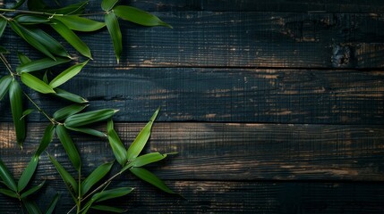 Obraz premium A cluster of vibrant green bamboo shoots, delicately placed on a dark, weathered wooden surface, evokes a sense of natural serenity