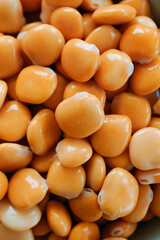 lupinus albus beans eaten as snack in spain