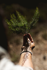 Detail of a female hand holding a bouquet of medicinal herbs.