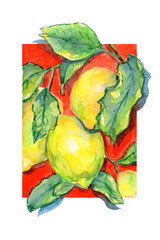Watercolor illustration of twigs with lemons. Summer print with bright fruits. Watercolor lemons, botanical print.