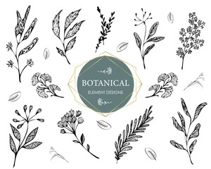 Collection of vector stylized floral elements. Set of decorative twigs for design. Elements for floral logos. Floral decor for wedding invitations. Flower clipart.