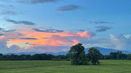 Obraz premium color sunset overt the fields