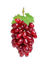 bunch of red grapes isolated