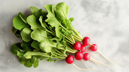 Bunch of fresh radishes with green leaves on a light, textured background, showcasing their vibrant color and healthy appearance.