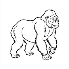 gorillas walking Vector