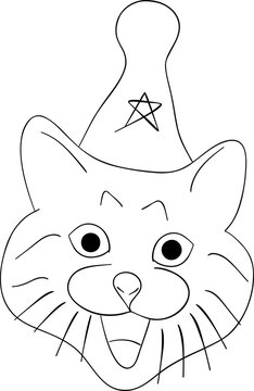 Birthday funnt doodle cat