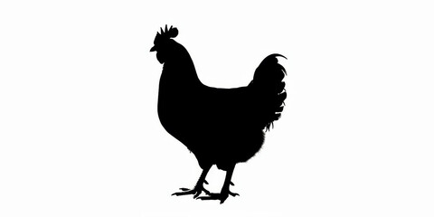 silhouette of chicken on a white background