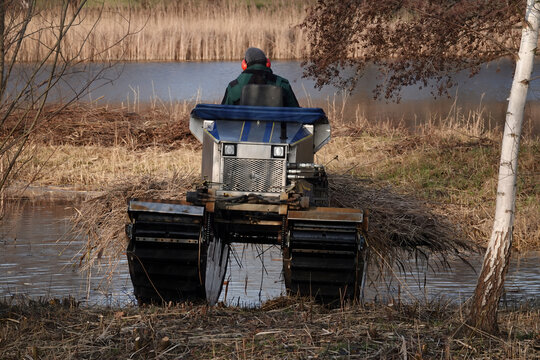 Amphibienfahrzeug am See mit Schilf