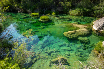 Spectacular crystal clear and emerald green waters of the Tajo River as it passes through the Alto Tajo Natural Park in Guadalajara, Castilla-la Mancha, Spain