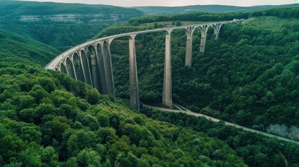Obraz premium Aerial View of a Large Bridge Over Lush Green Forest