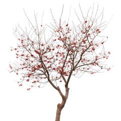 Plant And Tree, Generative AI