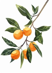 A branch of a citrus tree with ripe orange fruit and lush green leaves.