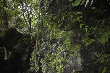 Sight seeing in Shillong, Meghalaya