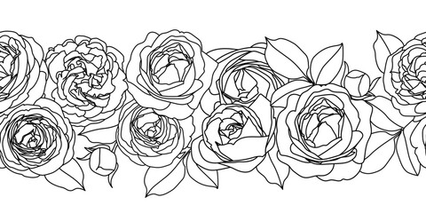 Seamless vector border with black line roses on a white background