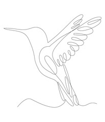 Continuous one line drawing of Humming bird. 