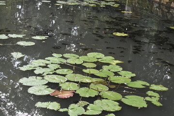 Sight seeing in Shillong, Meghalaya