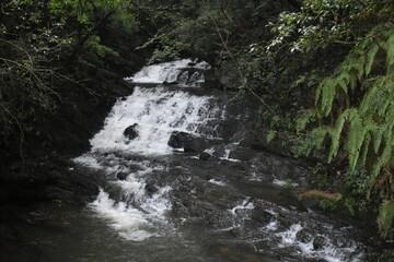 Places to see in Meghalaya Wards Lake, Seven Sisters Falls, Garden of Caves, Umiam Lake 