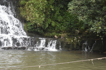 Obraz premium Sight seeing in Shillong, Meghalaya