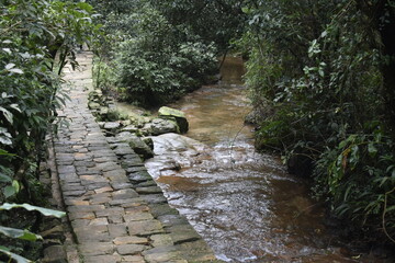 Places to see in Meghalaya Wards Lake, Seven Sisters Falls, Garden of Caves, Umiam Lake 