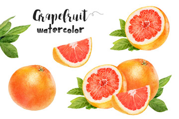 Watercolor of grapefruits, whole and sliced, on green leaves, creating an appetizing image