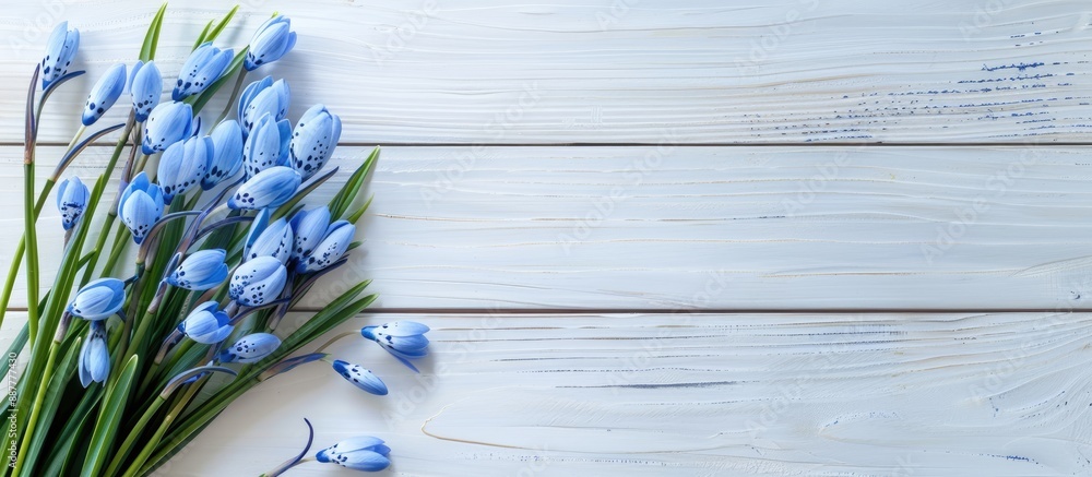 Aufkleber Blue snowdrops arranged on a white wooden surface with a blank space for adding an image. with copy space image. Place for adding text or design