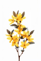 A sprig of delicate yellow flowers with green leaves against a white background.
