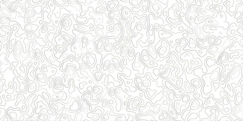 Obraz premium Abstract topography map, topology line map, geographic abstract grid vector background. 