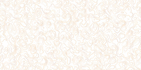 Fototapeta premium Abstract topography map, topology line map, geographic abstract grid vector background. 