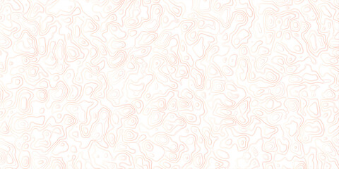 Abstract topography map, topology line map, geographic abstract grid vector background. 