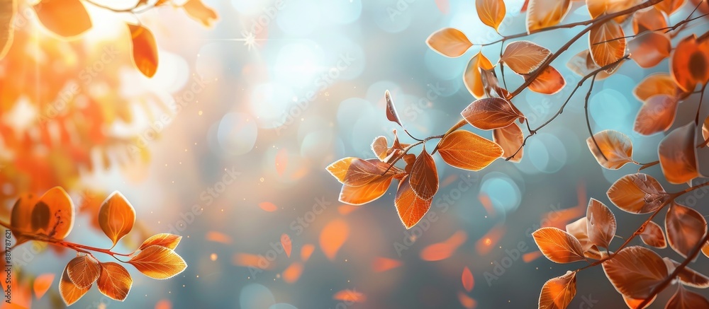 Poster Autumn leaves branch in park view with a photography suitable for adding text within the copy space image