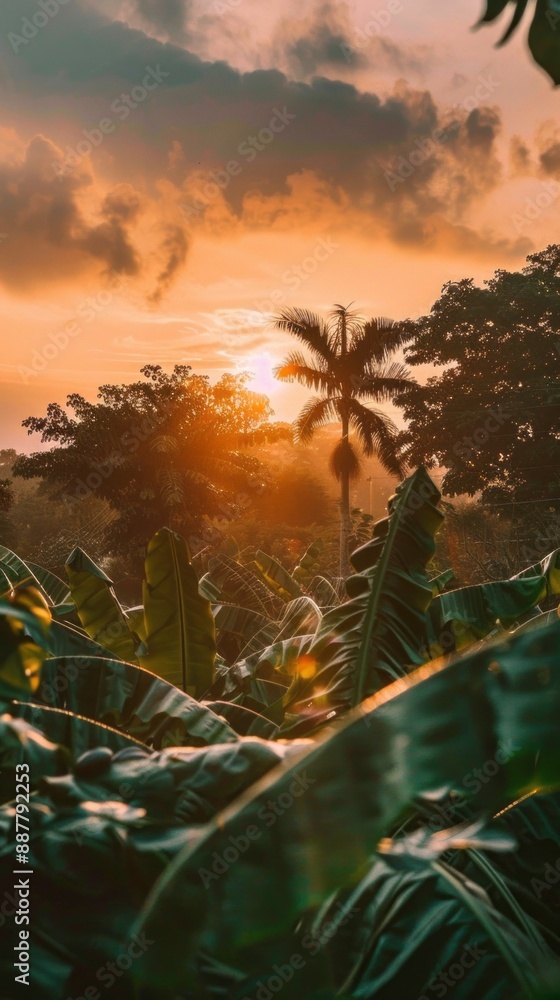 Poster a tropical forest with a palm tree in the foreground