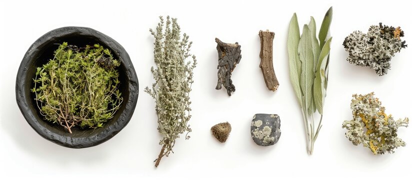 An assortment of natural elements like sage a black cauldron and usnea lichen in a clean white background suitable for a copy space image