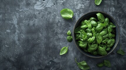 Fresh Basil Leaves in a Bowl