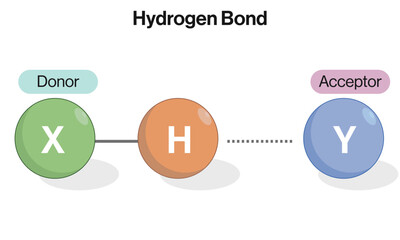 Vector Illustration of Hydrogen Bond Formation: Molecular Interactions between Electrophilic
Centers, Polar Molecules, and Hydrogen Atoms with Oxygen and Nitrogen Ligands