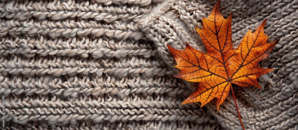 Poster Autumn themed background featuring a maple leaf on a knitted surface with space for additional images