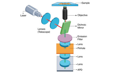 Detailed Vector Illustration of Fluorescence Correlation Spectroscopy Principle and Instrumentation on White Background.