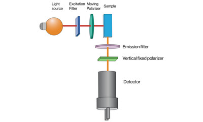 Polarization Fluorescence Principle and Instrumentation Scientific Vector Illustration with White Background.