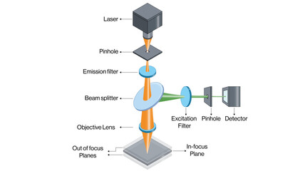 Confocal Microscopy Principle and Equipment Scientific Vector Illustration with White Background.