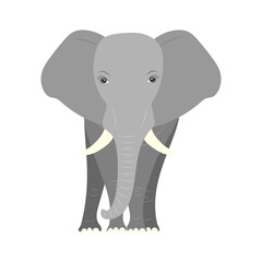 Vector illustration of elephant on transparent background