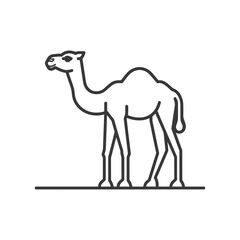 Fototapeta premium Minimalist Line Art Illustration: Single-Humped Camel Silhouette