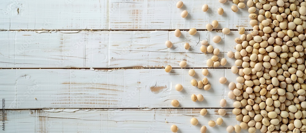 Poster Two rows of soybeans on a white wooden table with room for text in the image Soybeans are edible seeds from a leguminous plant native to Asia. with copy space image. Place for adding text or design