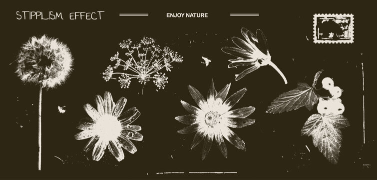 Vintage y2k set of dandelion, chamomile, sunflower, fennel, daisy, branch currant with retro negative photocopy effect. Flowers grunge with a grainy effect and stippling. Vector illustration	